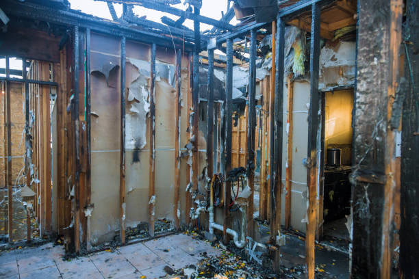 Professional Fire Damage Removal technician working in Ambler, PA